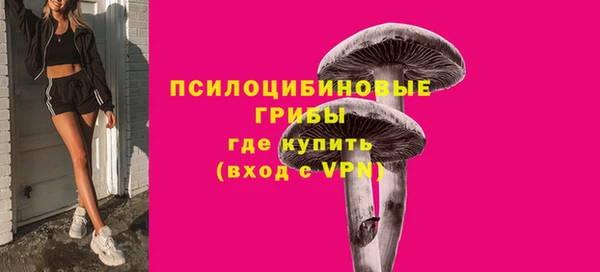 гидра Лабытнанги