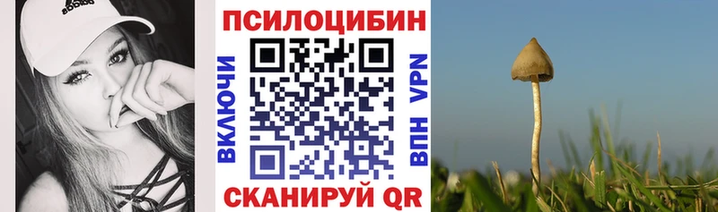 Псилоцибиновые грибы мухоморы  купить наркотики сайты  Красный Сулин 